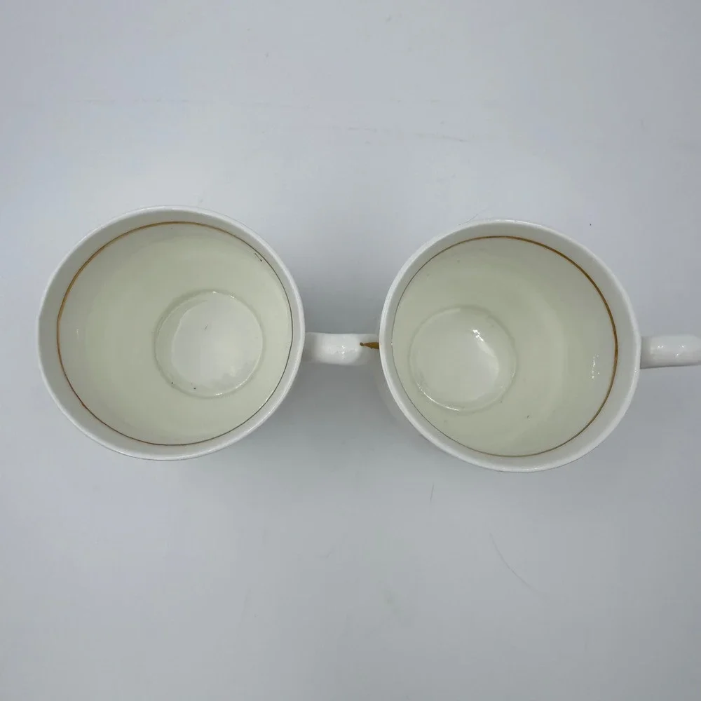 Daffodil‎ Fine Bone China Tea Cups Set Pink Roses Gold Trim Vintage